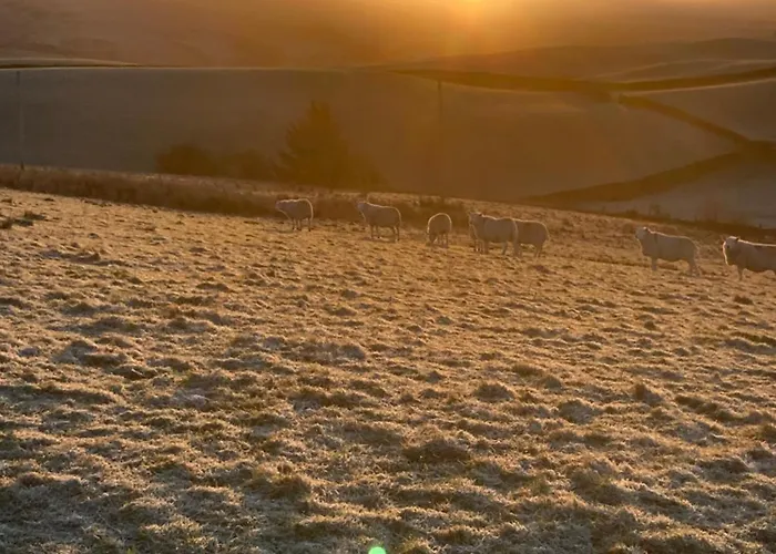 شقة The Old Garage